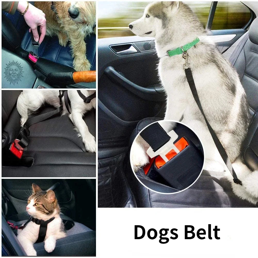 Adjustable Pet Safety Belt