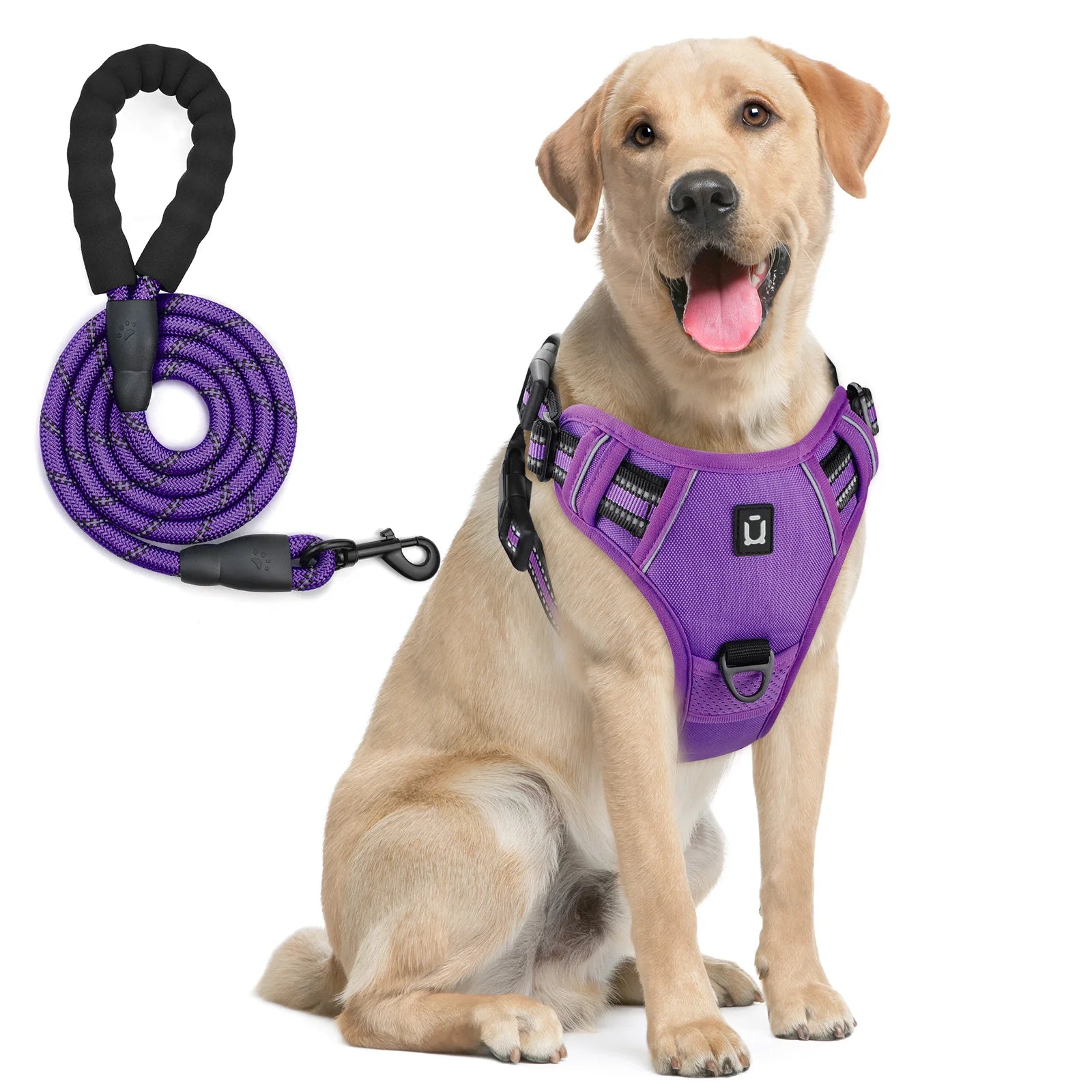 Reflective Pet Harness Combo