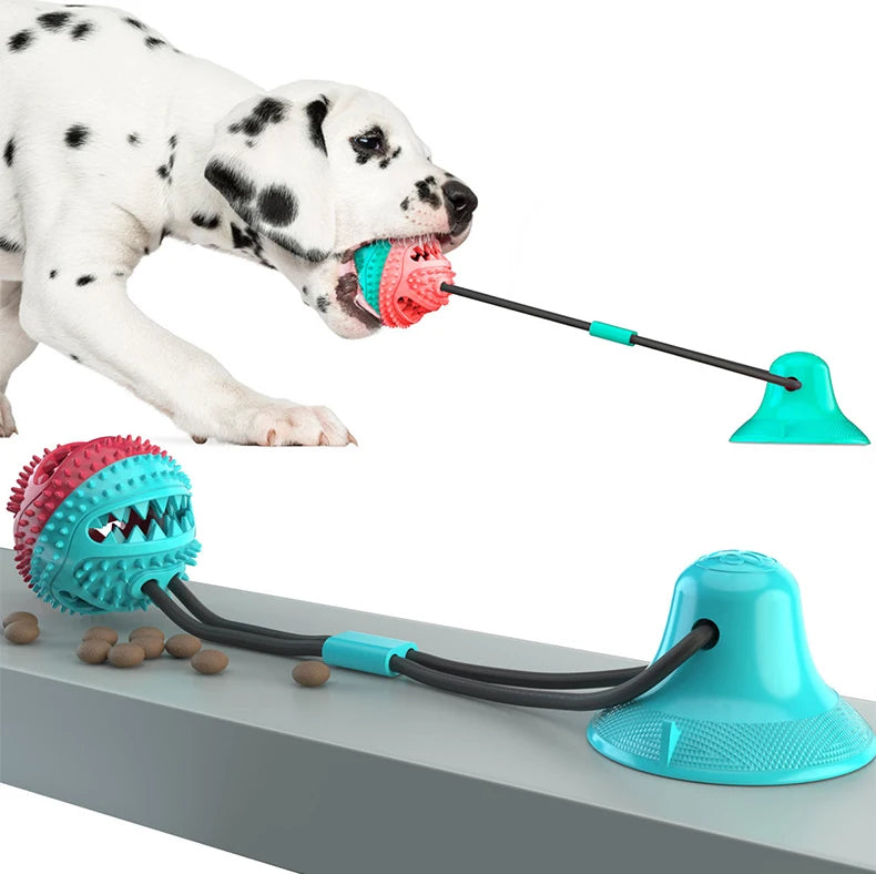 Treat-Dispensing Chew Ball Dog Toy