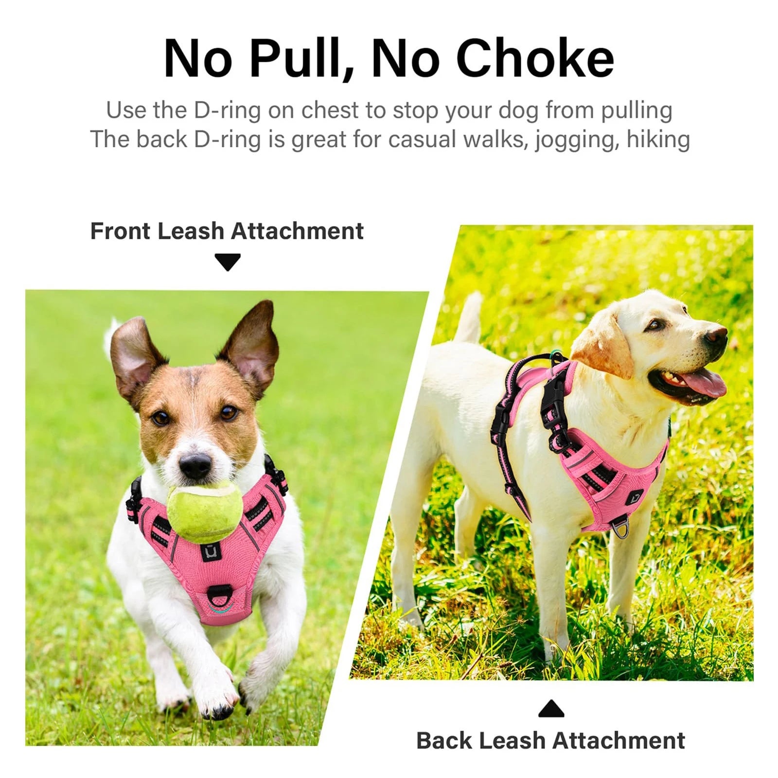 Reflective Pet Harness Combo