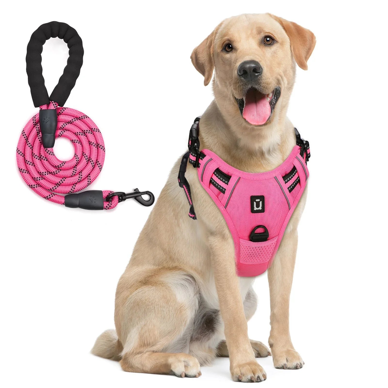 Reflective Pet Harness Combo