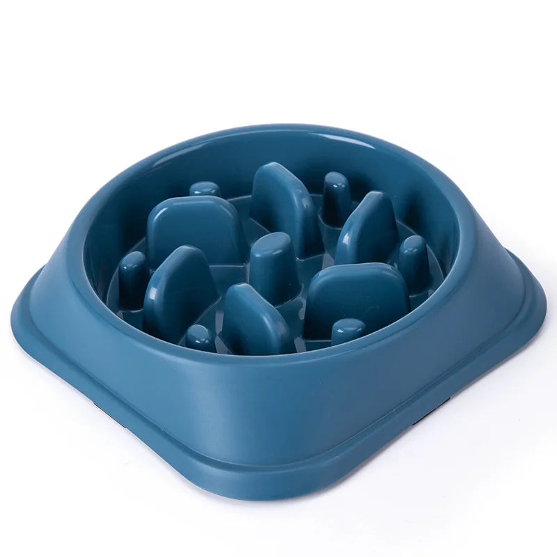Slow Feed Dog Bowl