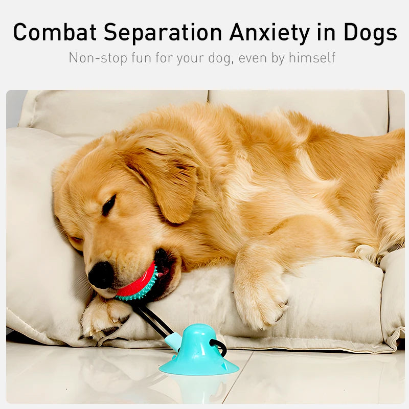 Treat-Dispensing Chew Ball Dog Toy