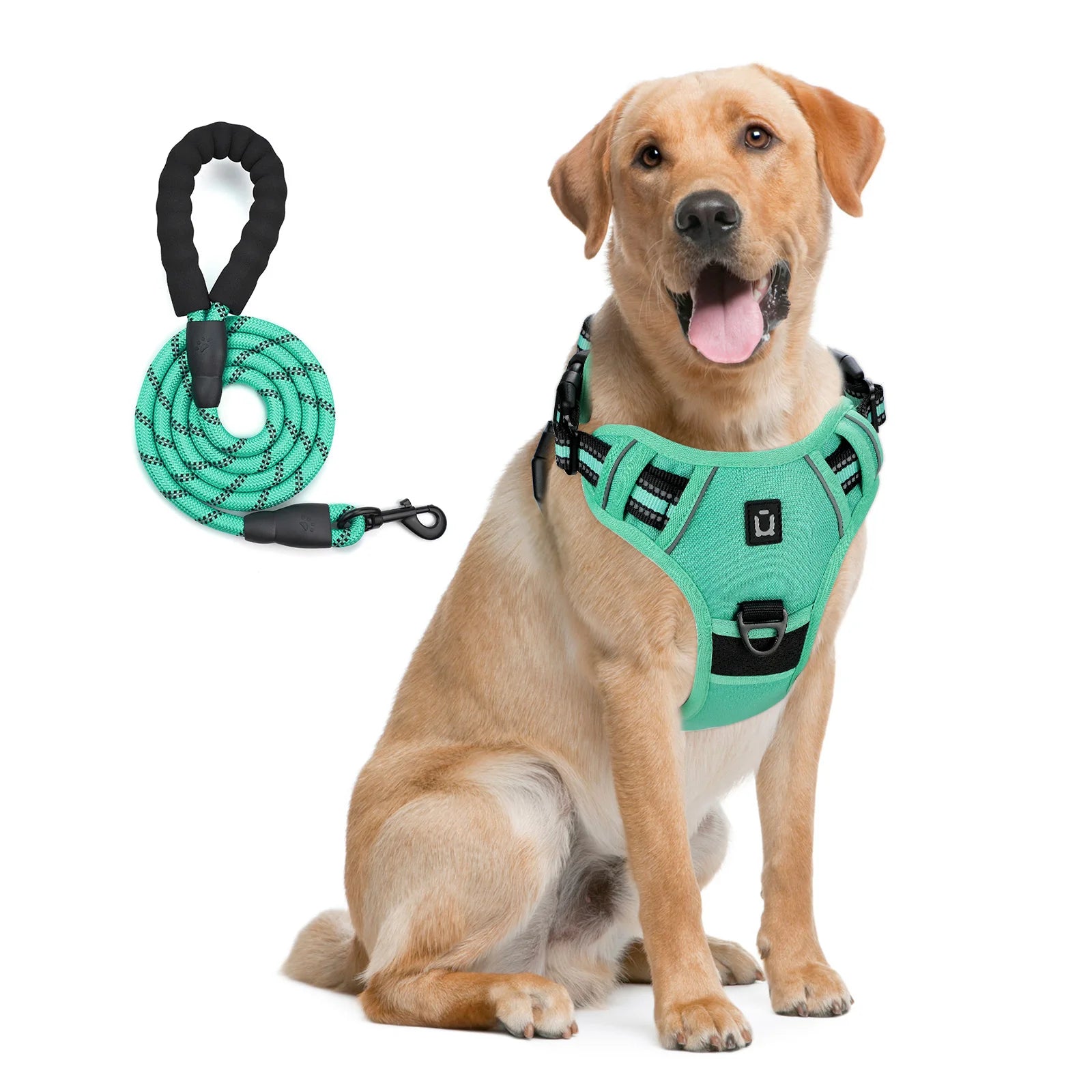 Reflective Pet Harness Combo