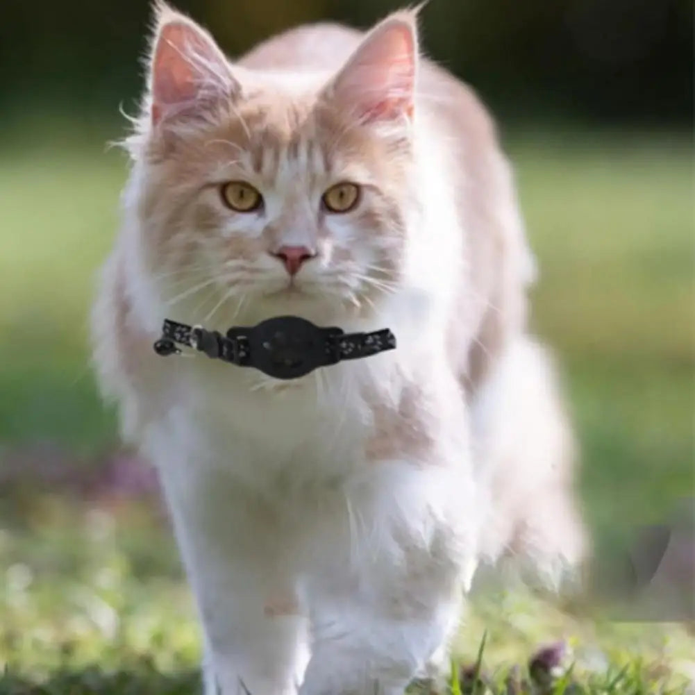 Smart GPS Cat Collar