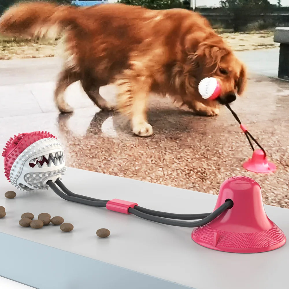 Treat-Dispensing Chew Ball Dog Toy