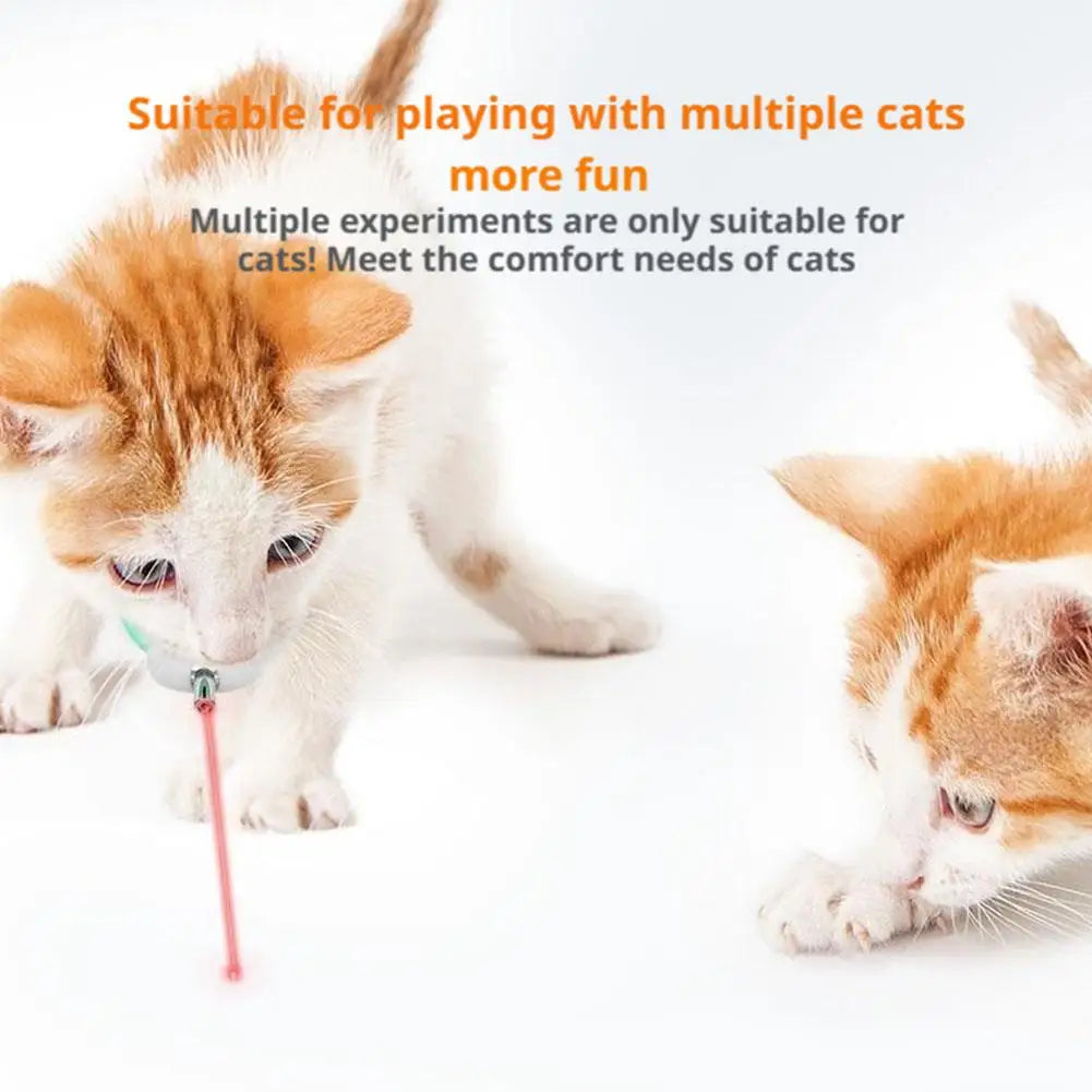 Smart Laser Cat-teasing Collar Laser