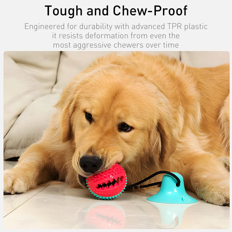 Treat-Dispensing Chew Ball Dog Toy