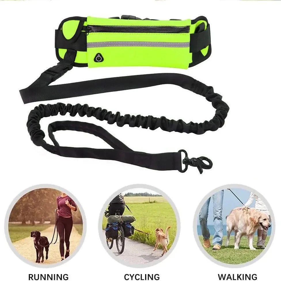 Hands-Free Dog Leash