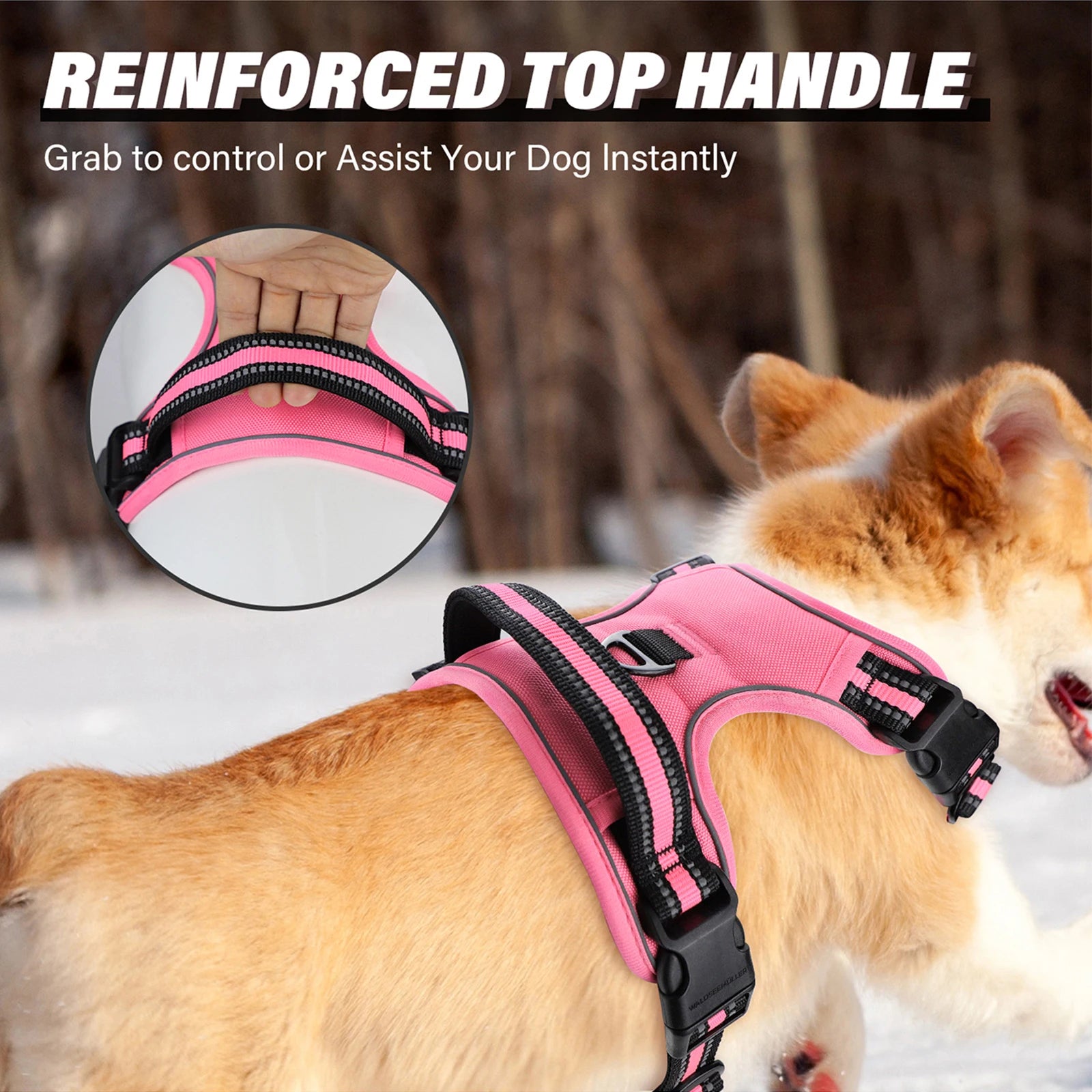 Reflective Pet Harness Combo