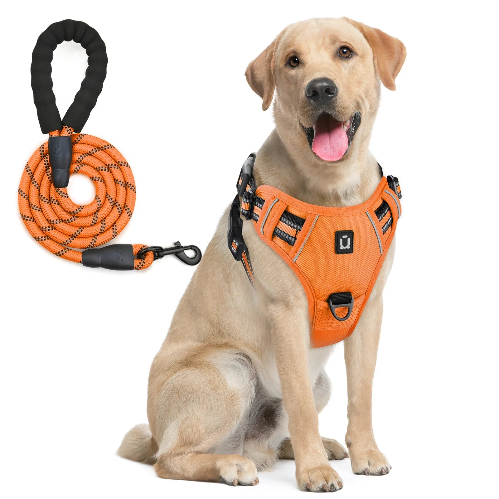 Reflective Pet Harness Combo