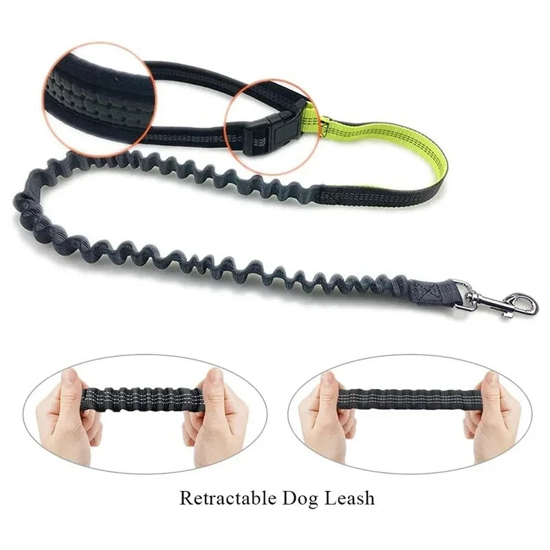 Hands-Free Dog Leash