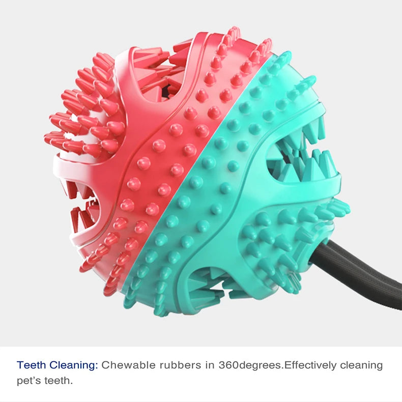 Treat-Dispensing Chew Ball Dog Toy