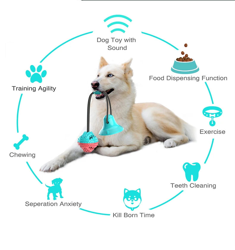 Treat-Dispensing Chew Ball Dog Toy
